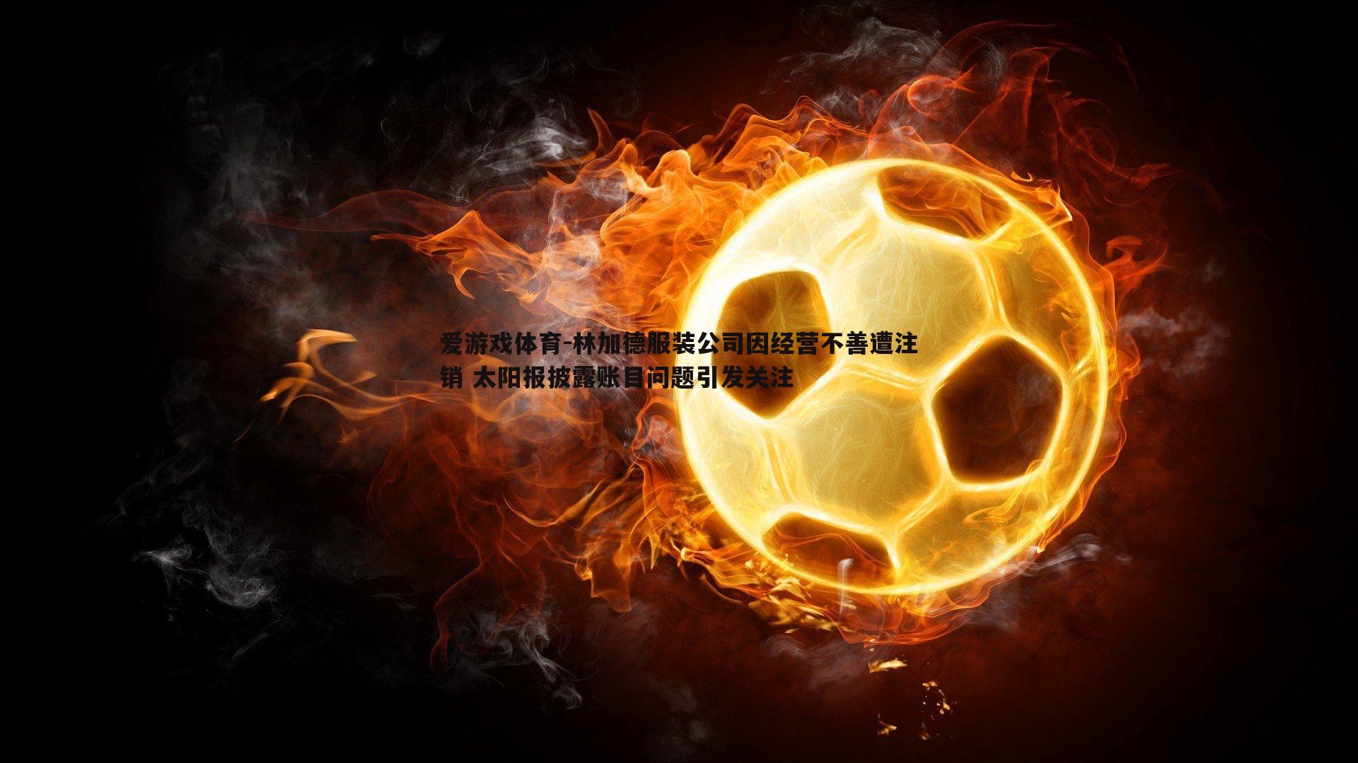 林加德服装公司因经营不善遭注销 太阳报披露账目问题引发关注