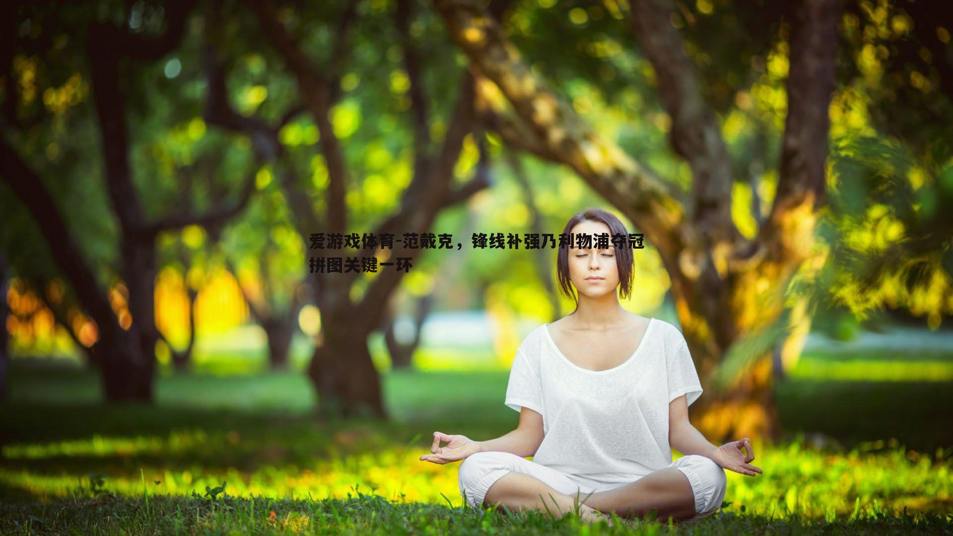 范戴克,锋线补强乃利物浦夺冠拼图关键一环